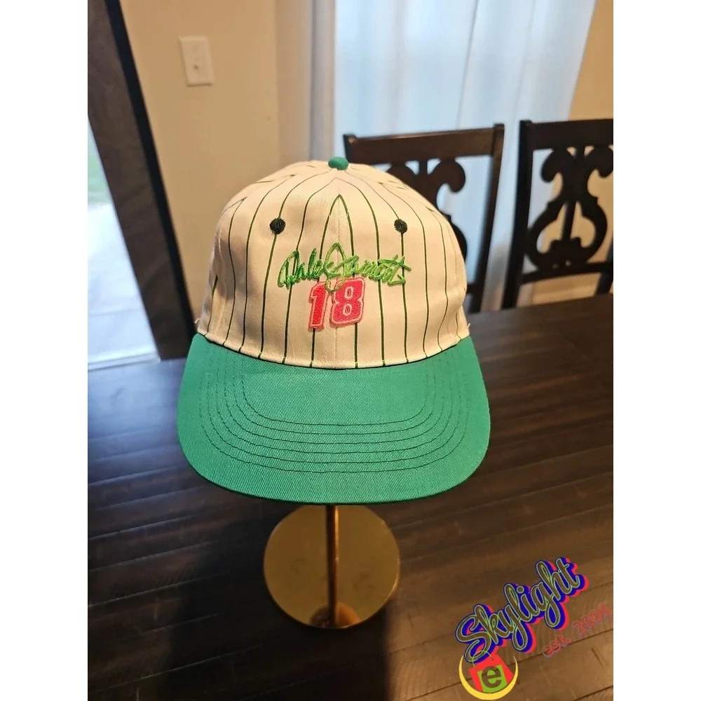 Cameo Rare Vtg NASCAR‎ Dale Jarrett 18 Snapback Embroidered Hat Cap Pin Stripe